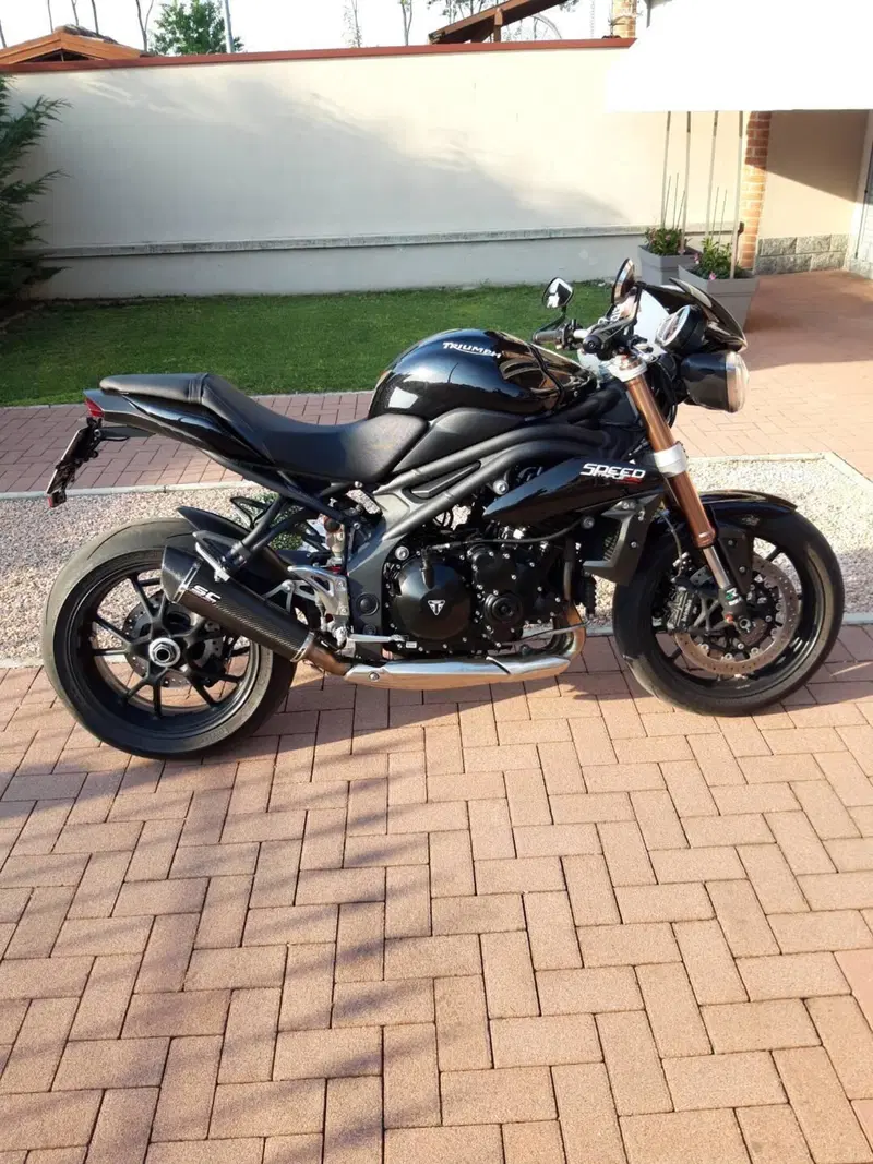 Triumph Speed Triple 1050 (2011 - 13) (2)
