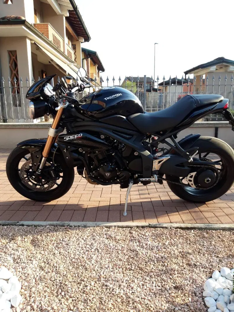 Triumph Speed Triple 1050 (2011 - 13) (3)
