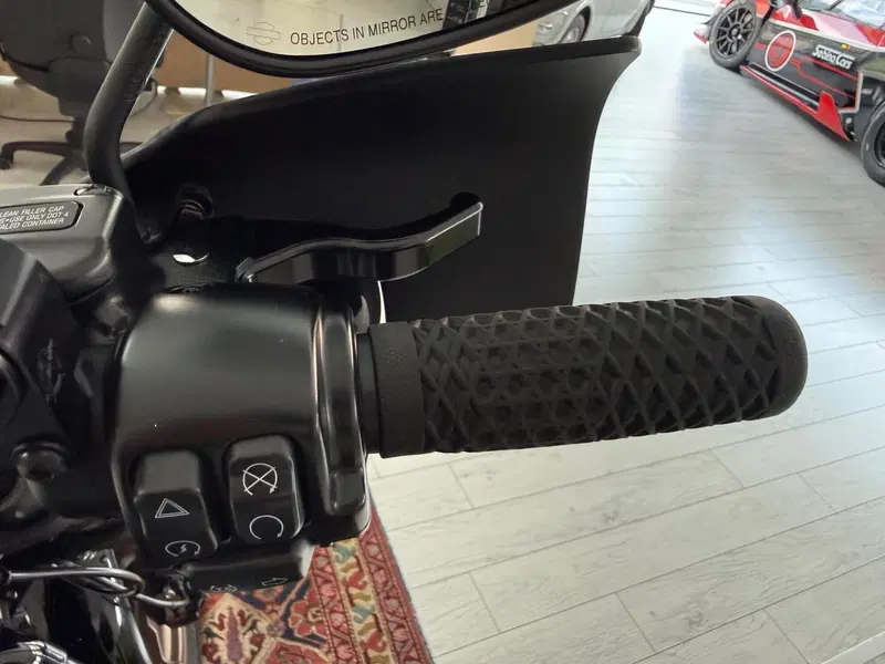 Harley-Davidson Low Rider S (2022 - 24) (11)