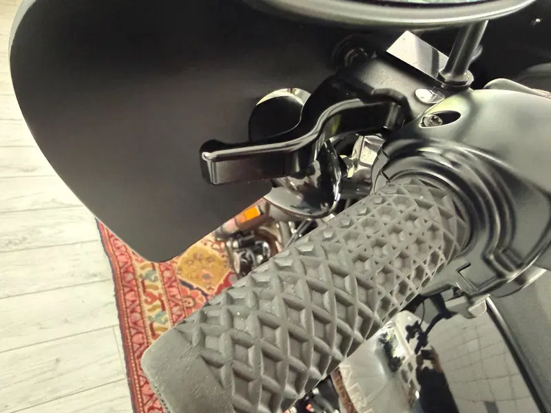 Harley-Davidson Low Rider S (2022 - 24) (10)