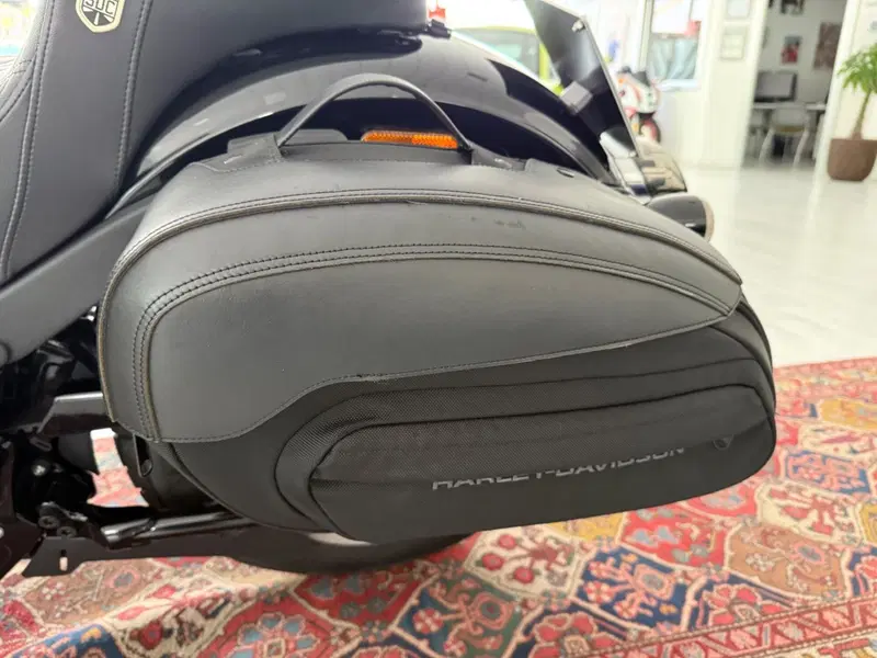 Harley-Davidson Low Rider S (2022 - 24) (14)