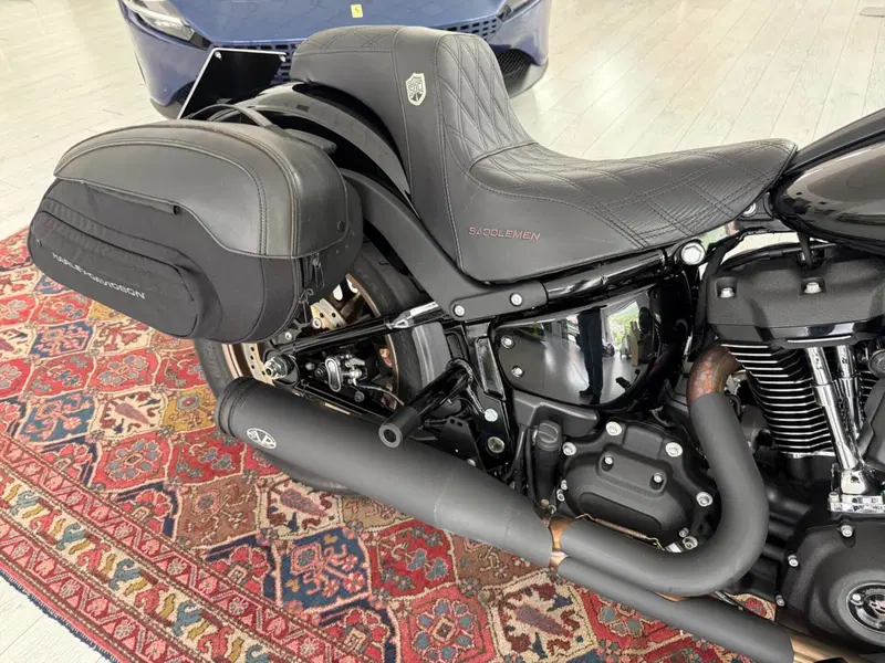 Harley-Davidson Low Rider S (2022 - 24) (15)