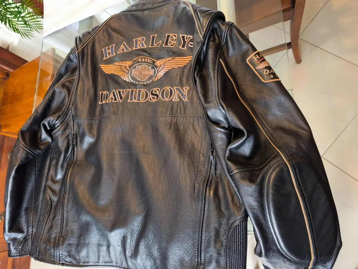 Giubbotto uomo Harley Davidson Harley-Davidson (3)