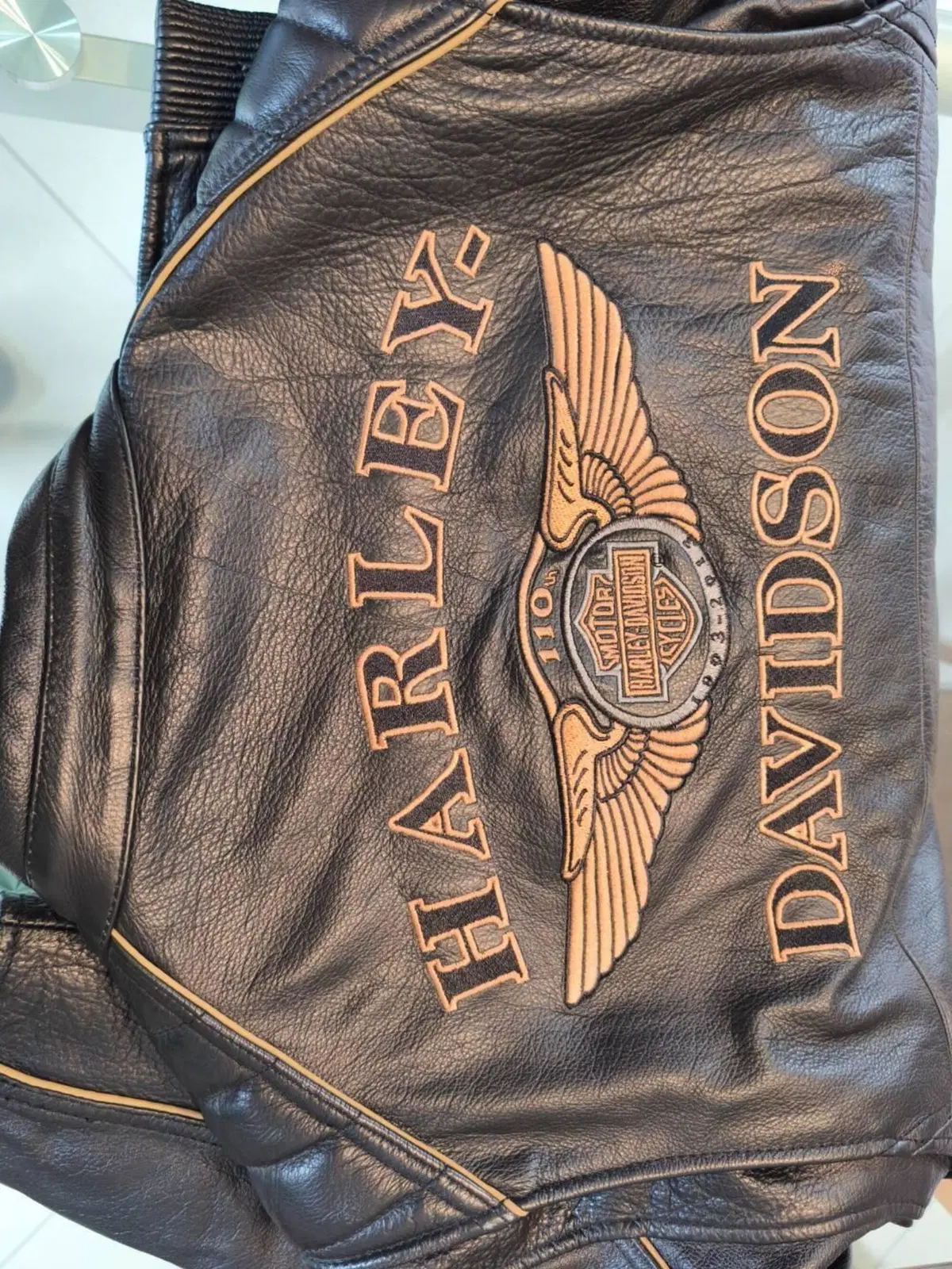 Giubbotto uomo Harley Davidson Harley-Davidson (8)