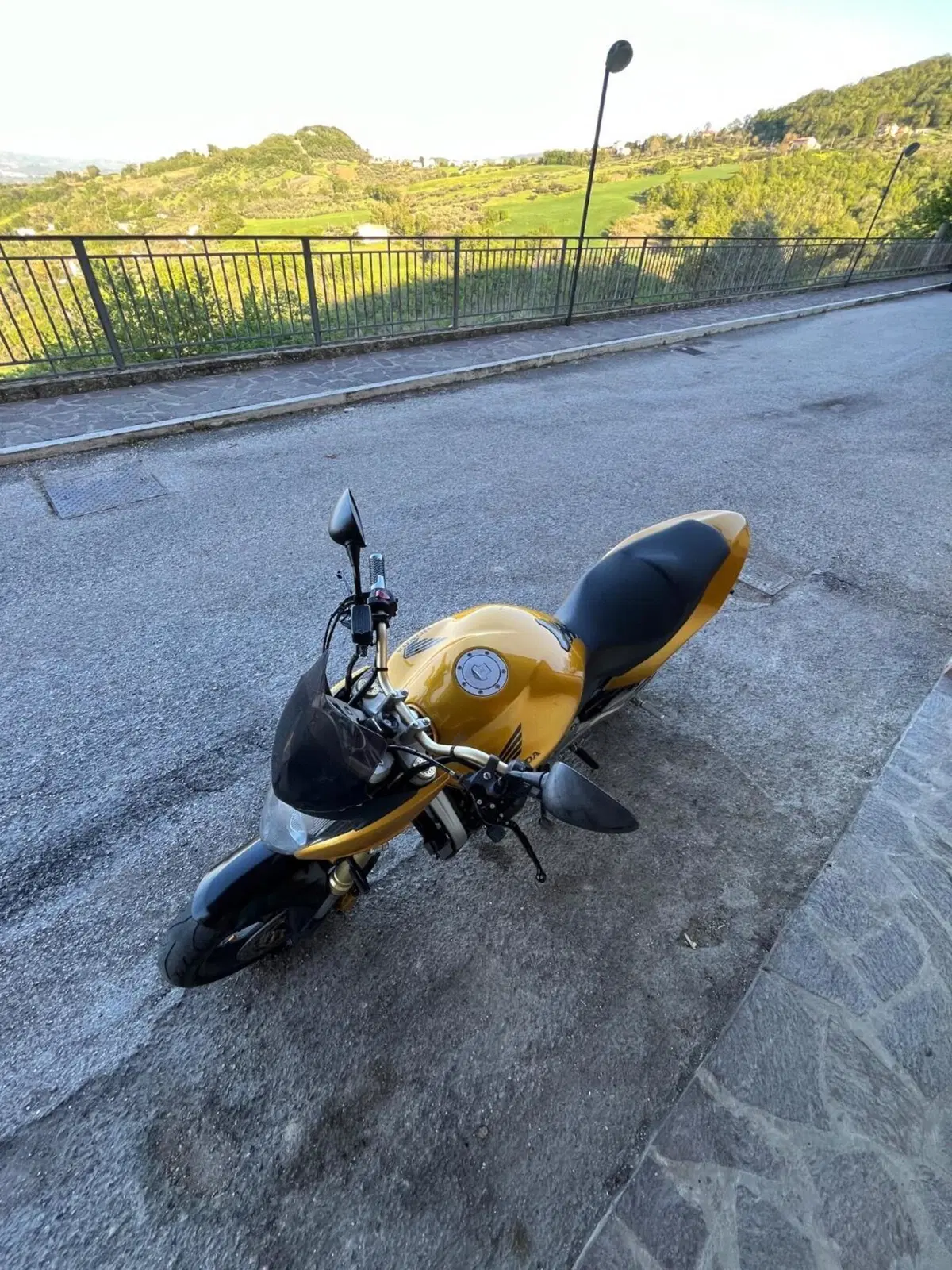 Honda Hornet 600 (2007 - 10) (2)