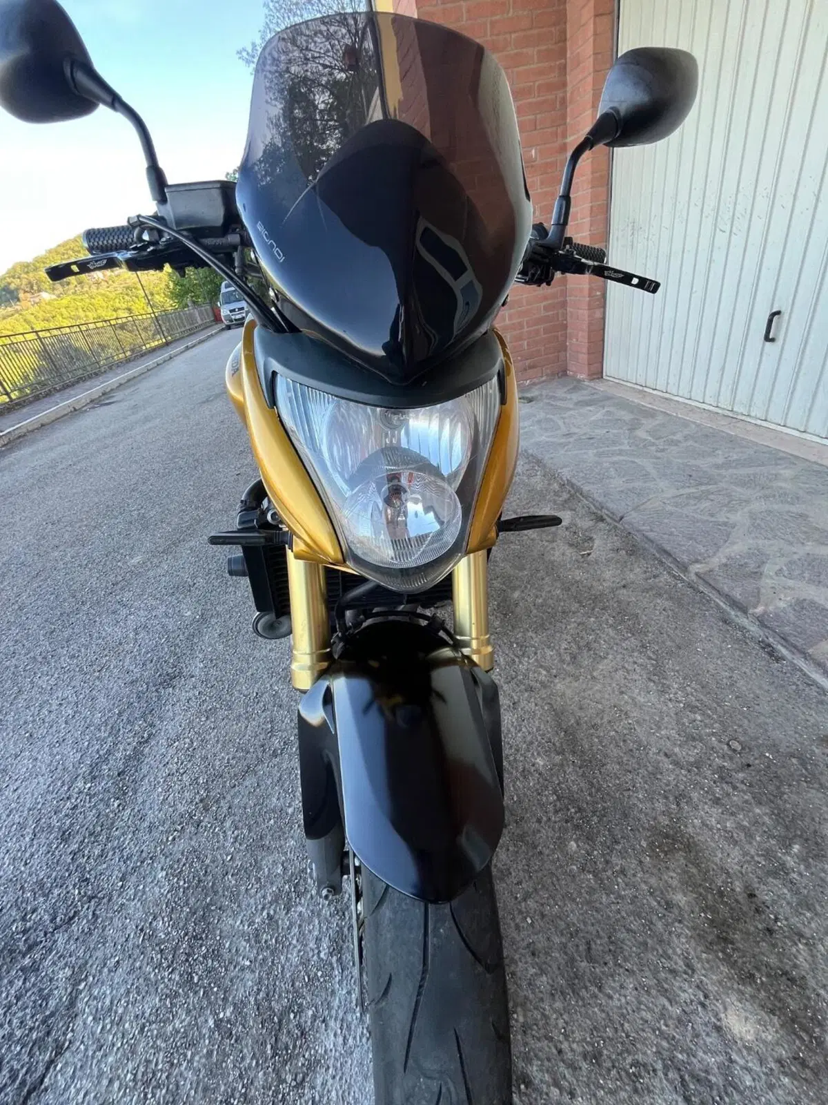 Honda Hornet 600 (2007 - 10) (4)