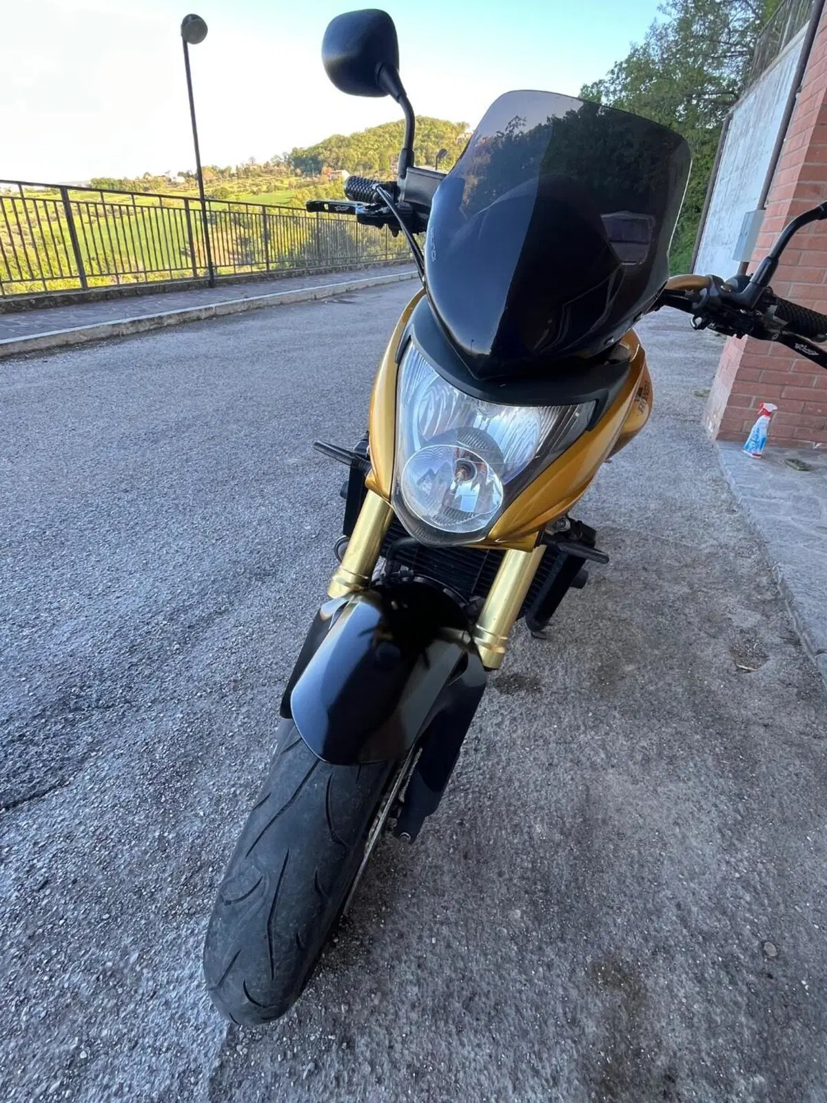 Honda Hornet 600 (2007 - 10) (9)