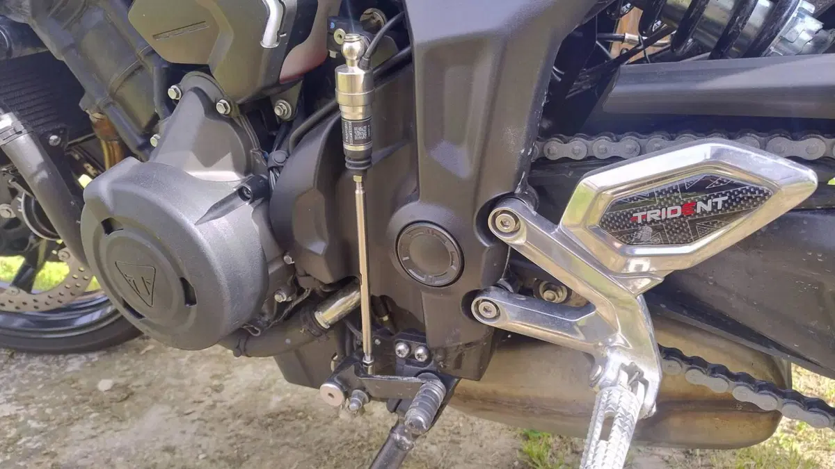 Triumph Trident 660 (2021 - 24) (4)