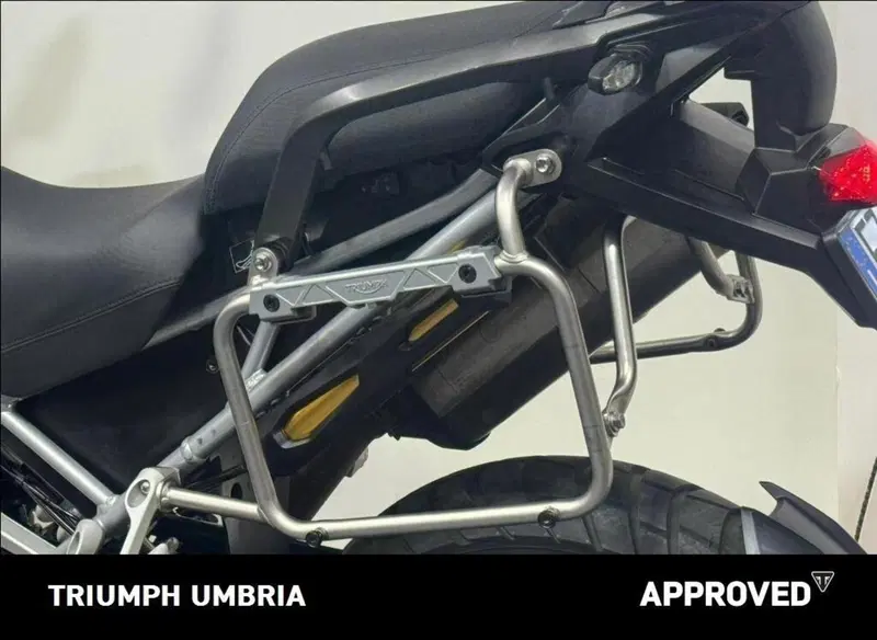 Triumph Tiger 1200 Rally Explorer (2022 - 23) (8)