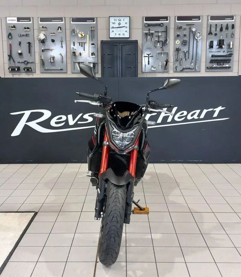 Honda CB 750 Hornet (2023 - 24) (3)
