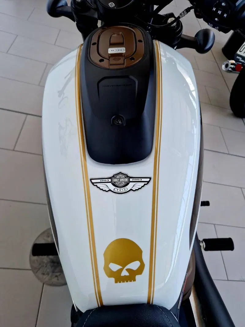 Harley-Davidson Sportster S (2022 - 24) (11)