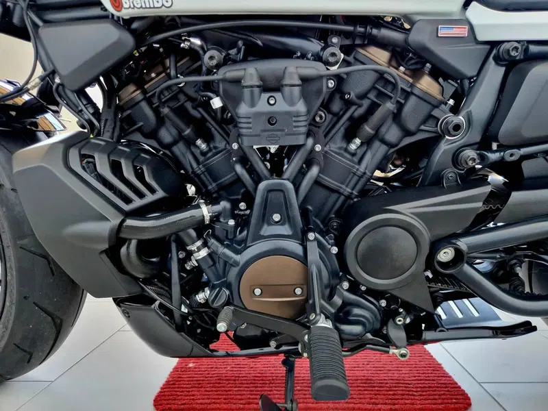 Harley-Davidson Sportster S (2022 - 24) (14)