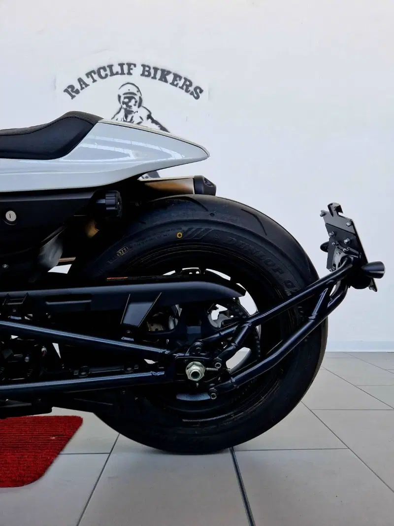 Harley-Davidson Sportster S (2022 - 24) (16)