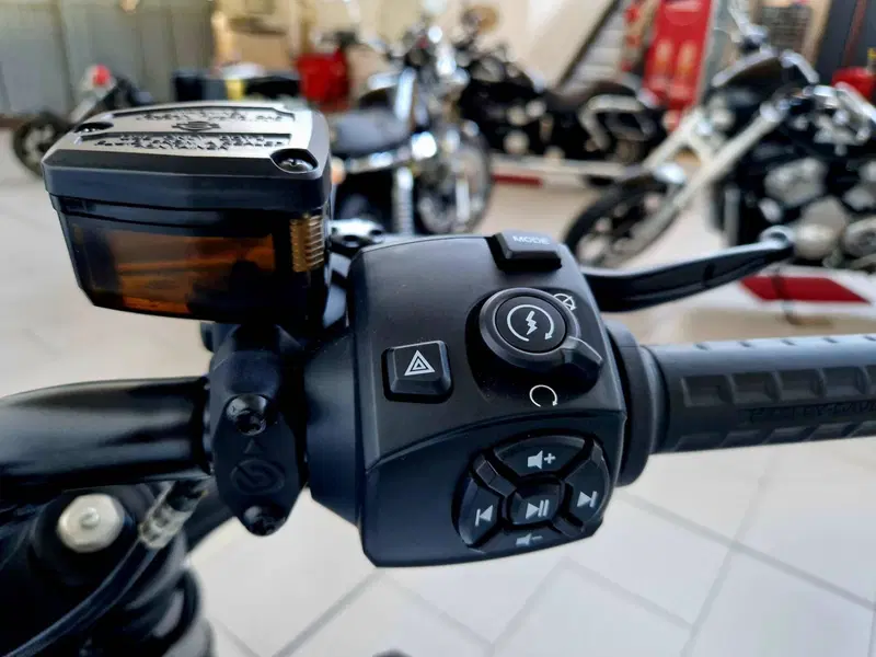 Harley-Davidson Sportster S (2022 - 24) (18)