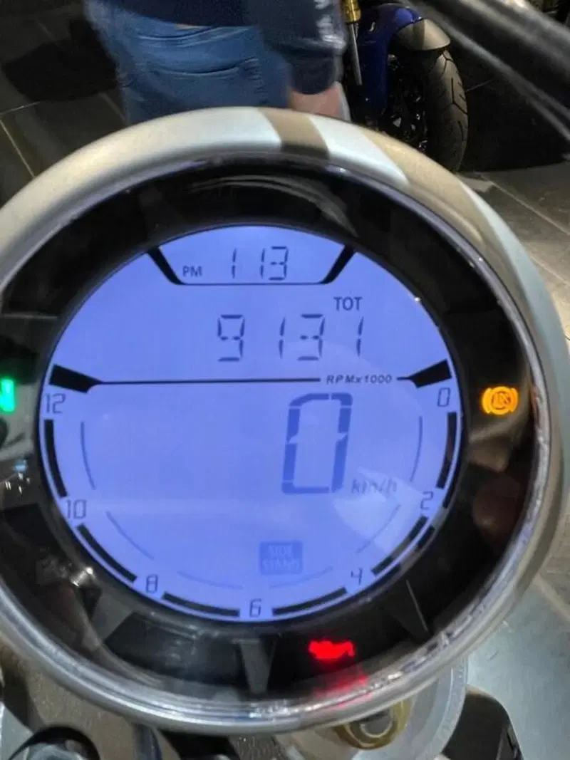 Ducati Scrambler 800 Desert Sled (2017 - 20) (5)