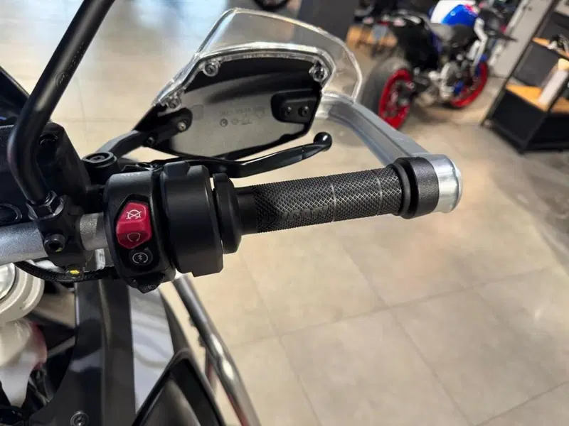 Ducati DesertX (2022 - 25) (11)