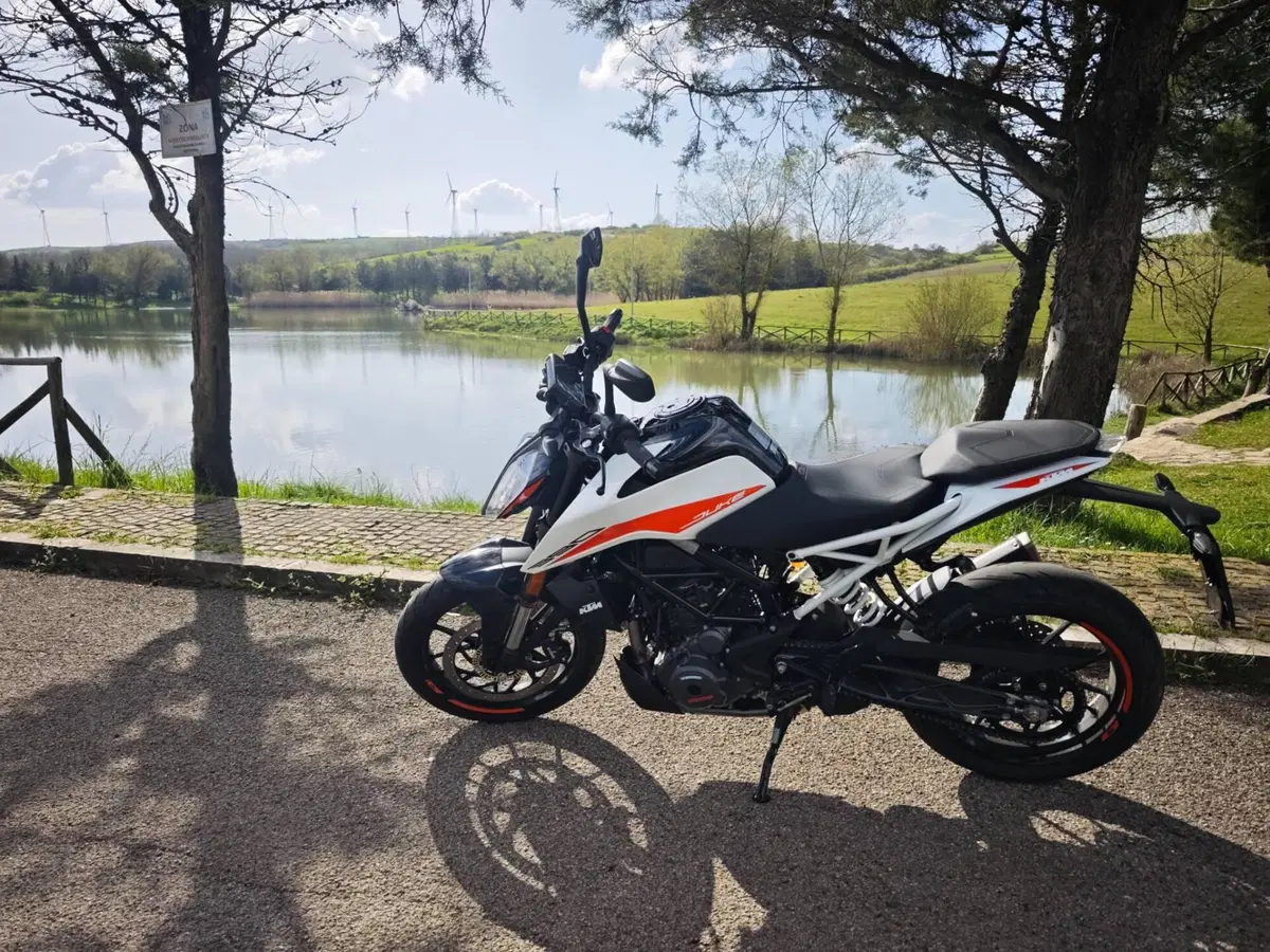 KTM 390 Duke (2021 - 23) (6)