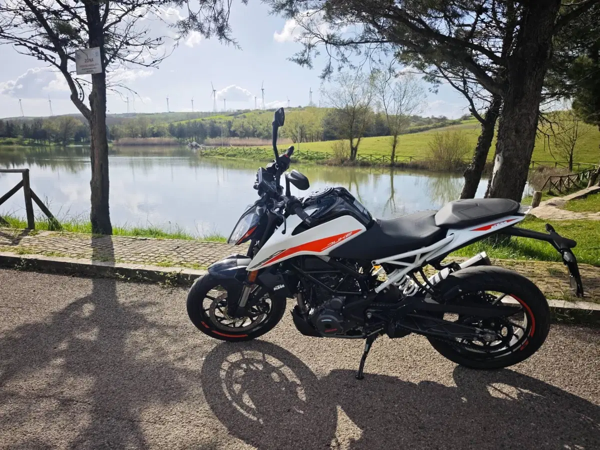 KTM 390 Duke (2021 - 23) (2)