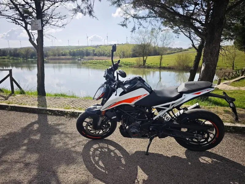 KTM 390 Duke (2021 - 23) (2)