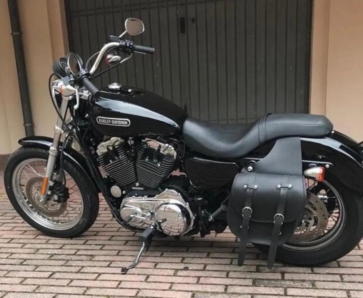 Harley-Davidson 1200 Low (2006 - 07) - XL 1200L (2)