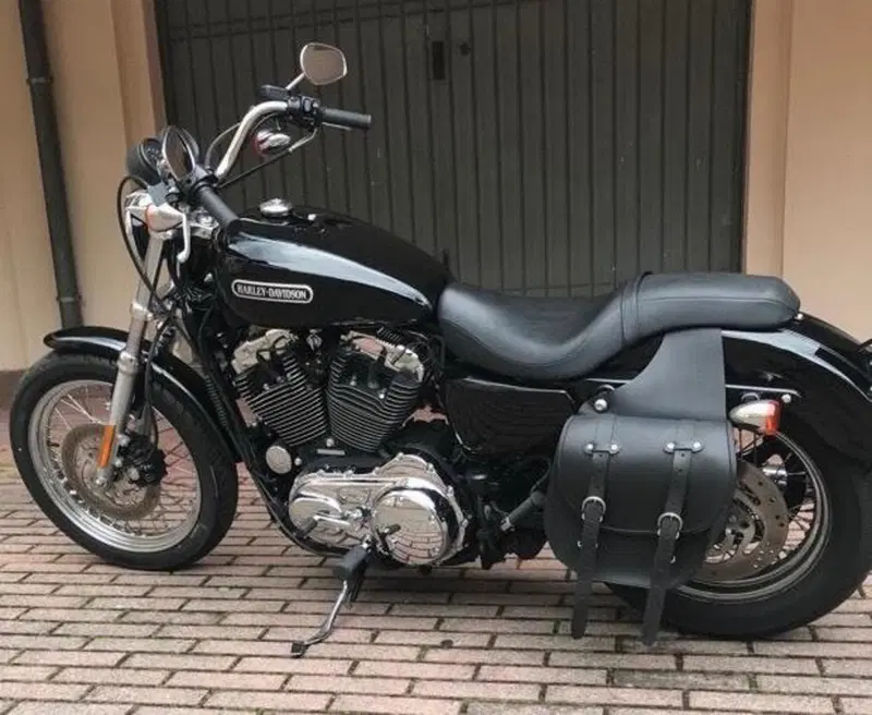 Harley-Davidson 1200 Low (2006 - 07) - XL 1200L (2)