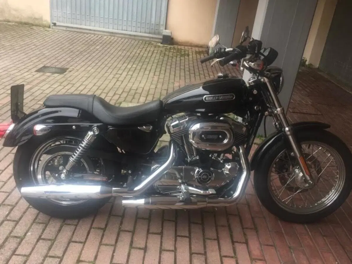 Harley-Davidson 1200 Low (2006 - 07) - XL 1200L (3)