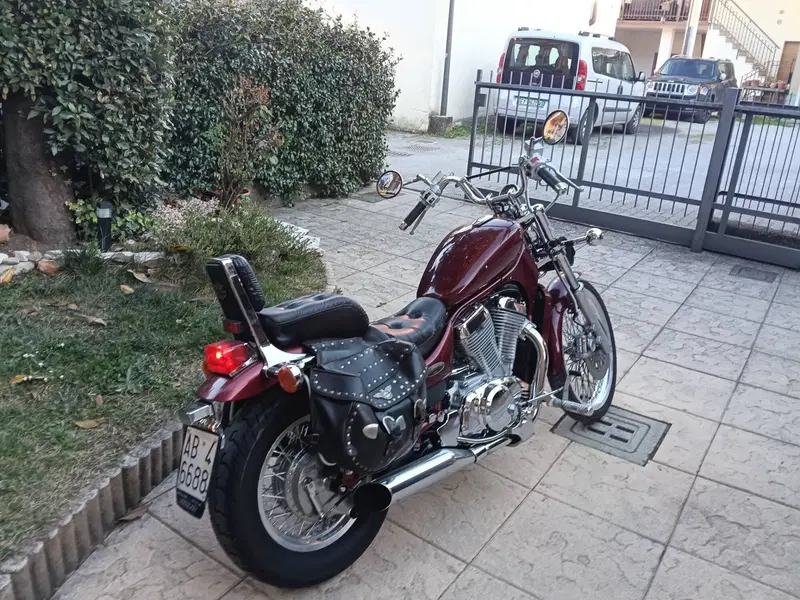 Suzuki VS 800 GL Intruder (1994 - 98) (3)