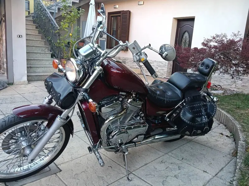 Suzuki VS 800 GL Intruder (1994 - 98) (5)