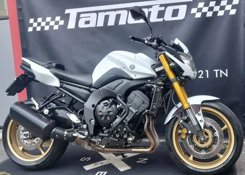 Yamaha FZ8 (2010 - 12) (2)
