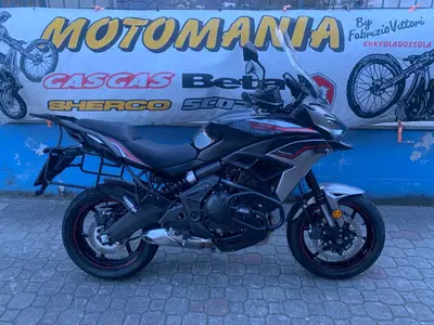 Kawasaki Versys 650 (2021 - 24) usata