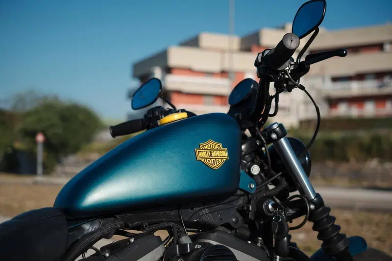 Harley-Davidson 883 Iron (2009 - 11) - XL 883N (2)