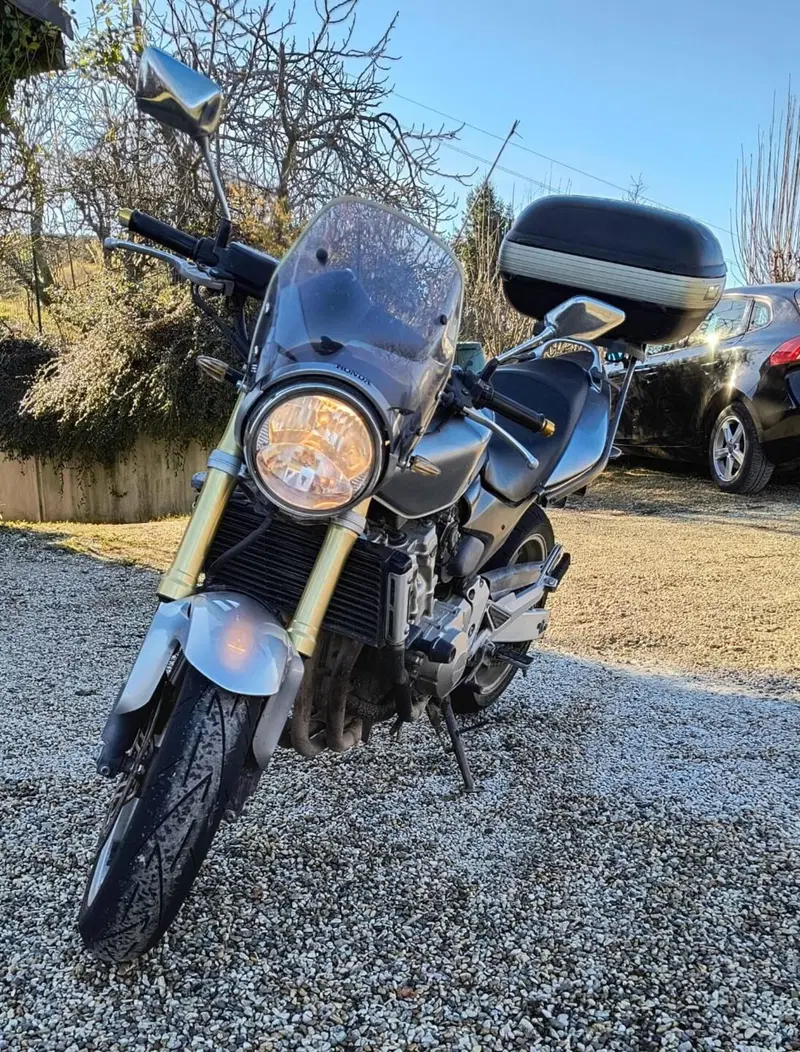 Honda Hornet 600 (2005 - 06) (2)