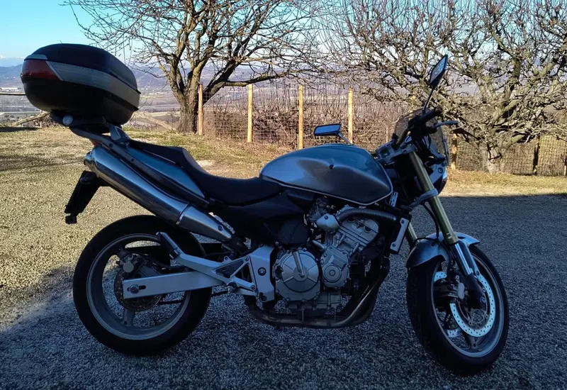 Honda Hornet 600 (2005 - 06) (4)