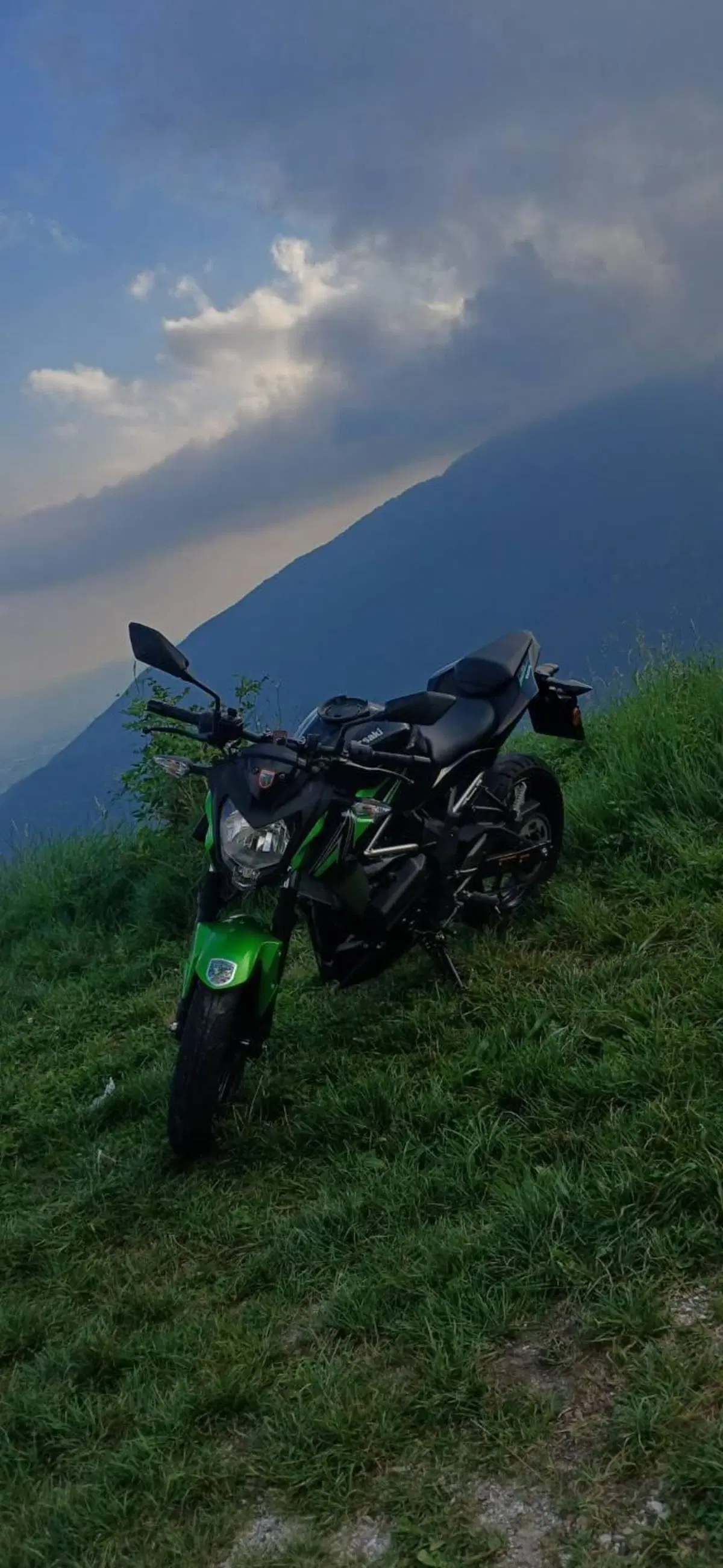 Kawasaki Z 125 (2021 - 24) (3)