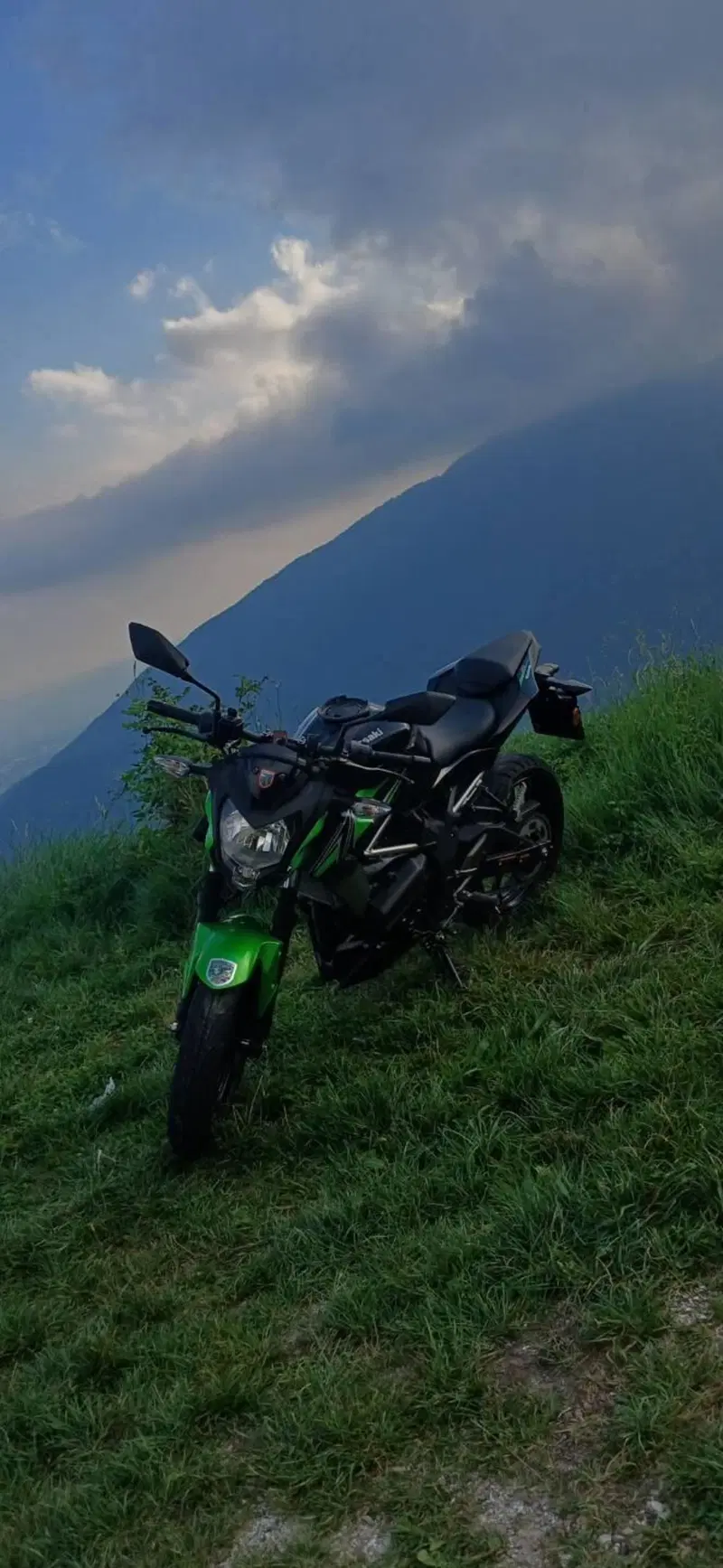 Kawasaki Z 125 (2021 - 24) (3)