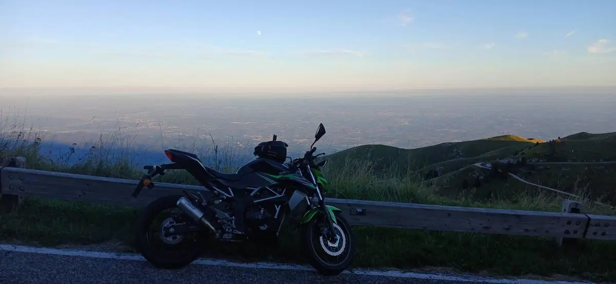 Kawasaki Z 125 (2021 - 24) (6)