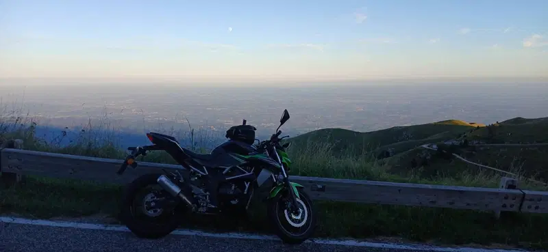 Kawasaki Z 125 (2021 - 24) (6)