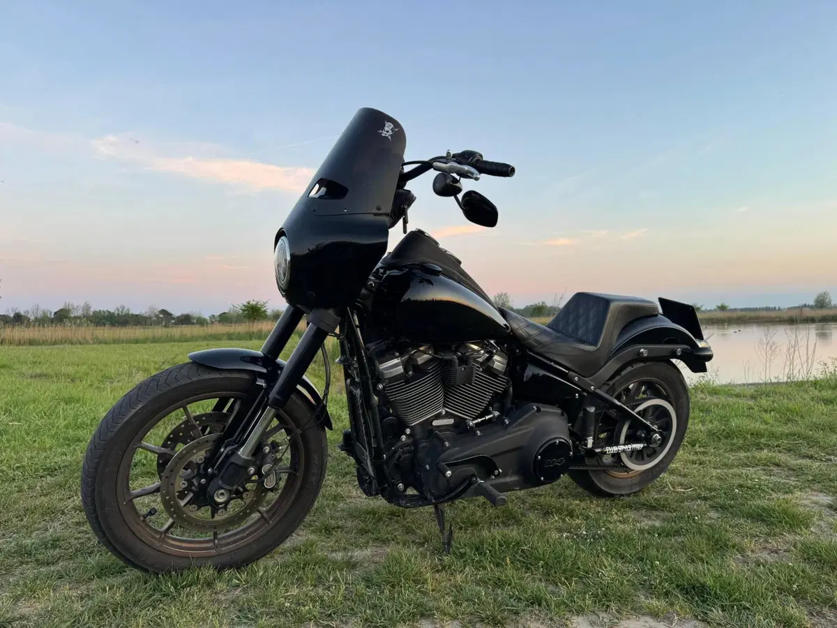 Harley-Davidson 114 Low Rider S (2021) - FXLRS (5)