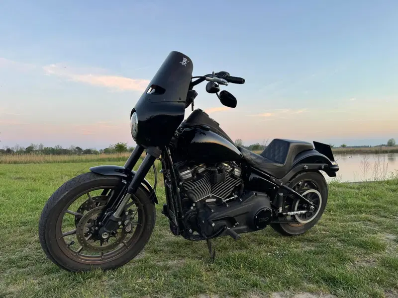 Harley-Davidson 114 Low Rider S (2021) - FXLRS (5)