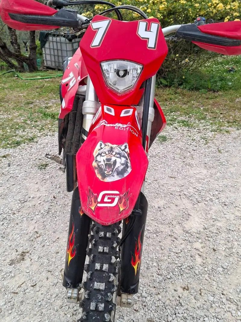 GASGAS EC 350 F (2023) (4)