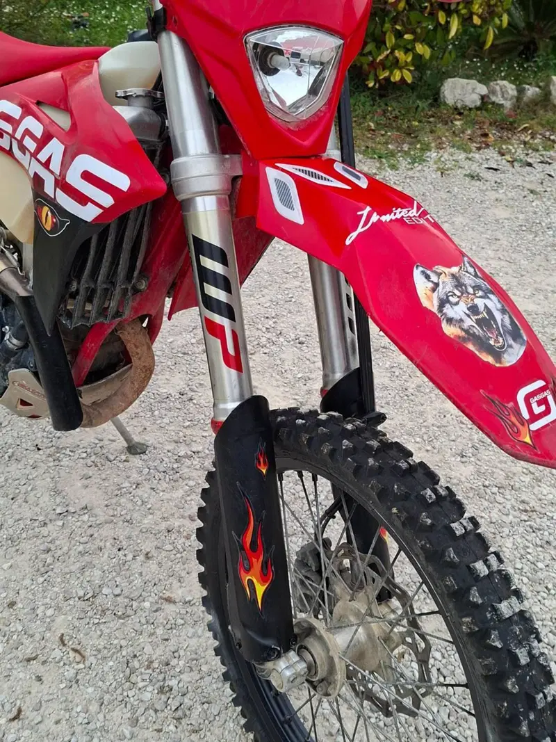 GASGAS EC 350 F (2023) (5)