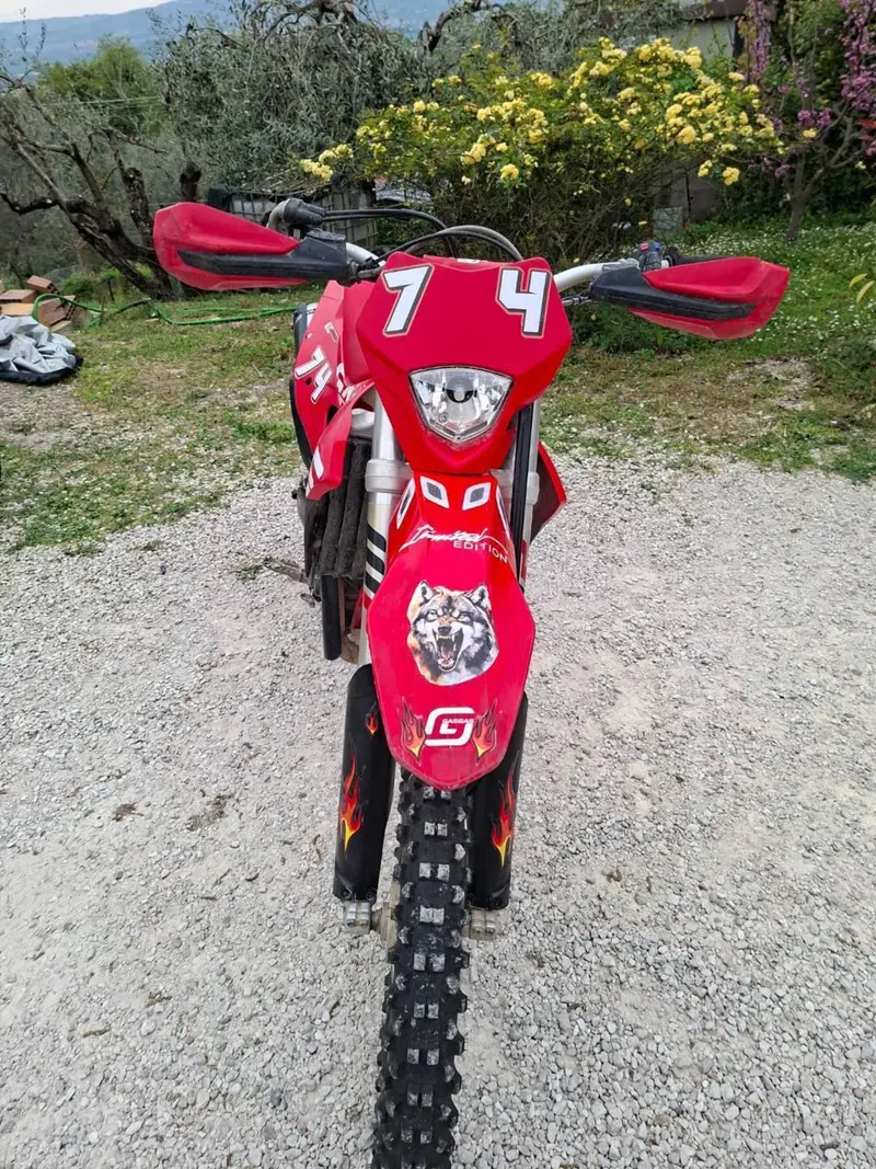 GASGAS EC 350 F (2023) (6)