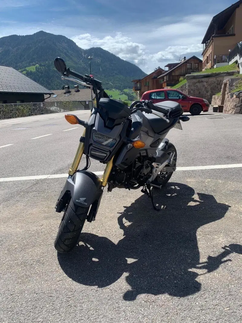 Honda MSX 125 (2016 - 17) (2)