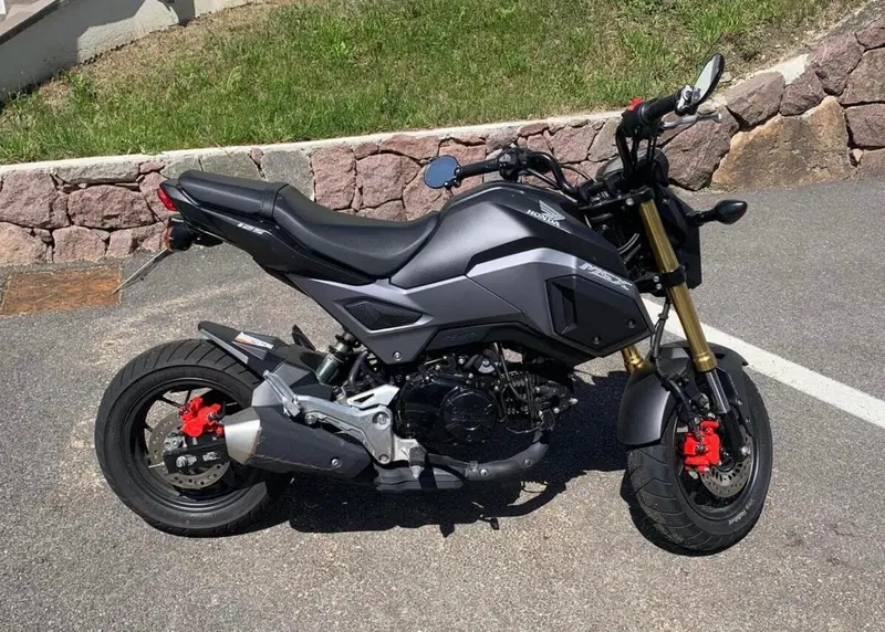 Honda MSX 125 (2016 - 17) (3)