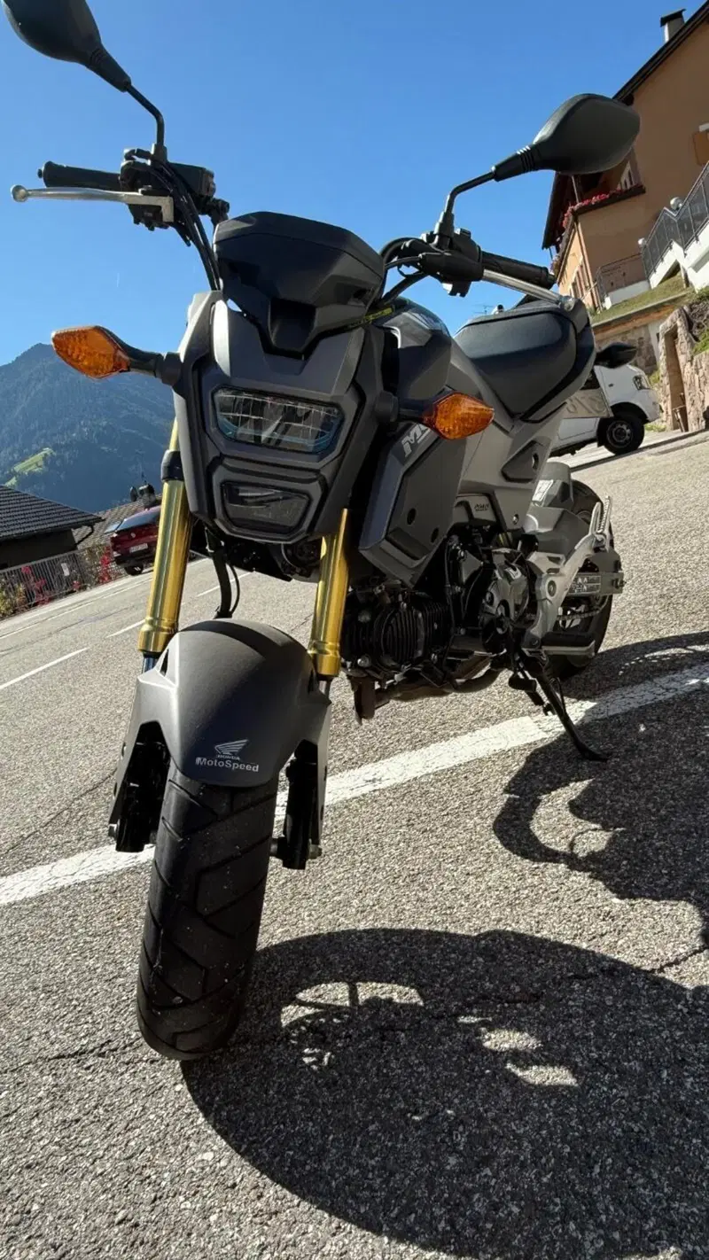 Honda MSX 125 (2016 - 17) (4)