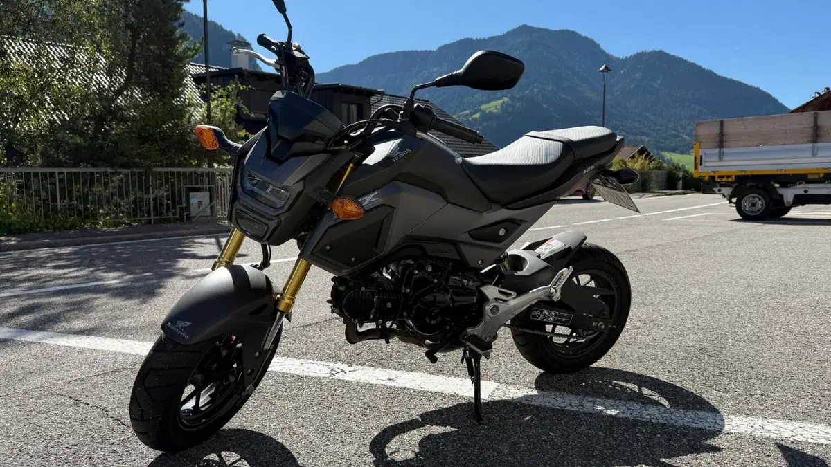 Honda MSX 125 (2016 - 17) (5)