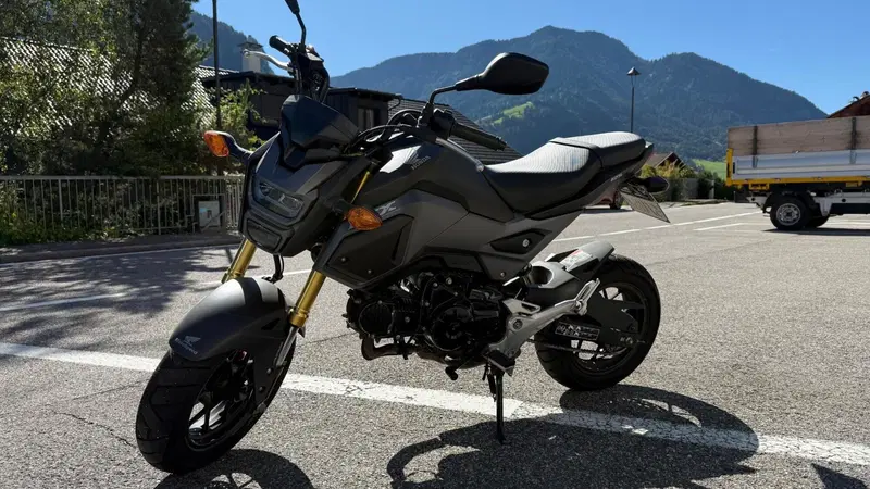Honda MSX 125 (2016 - 17) (5)
