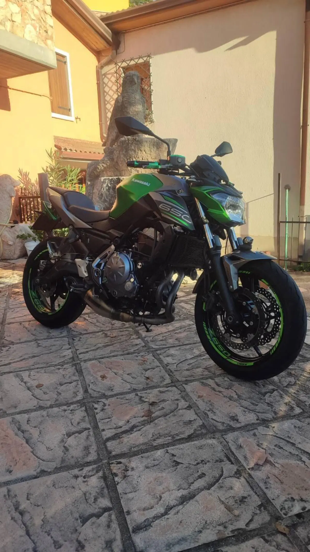 Kawasaki Z 650 (2017 - 19) (2)
