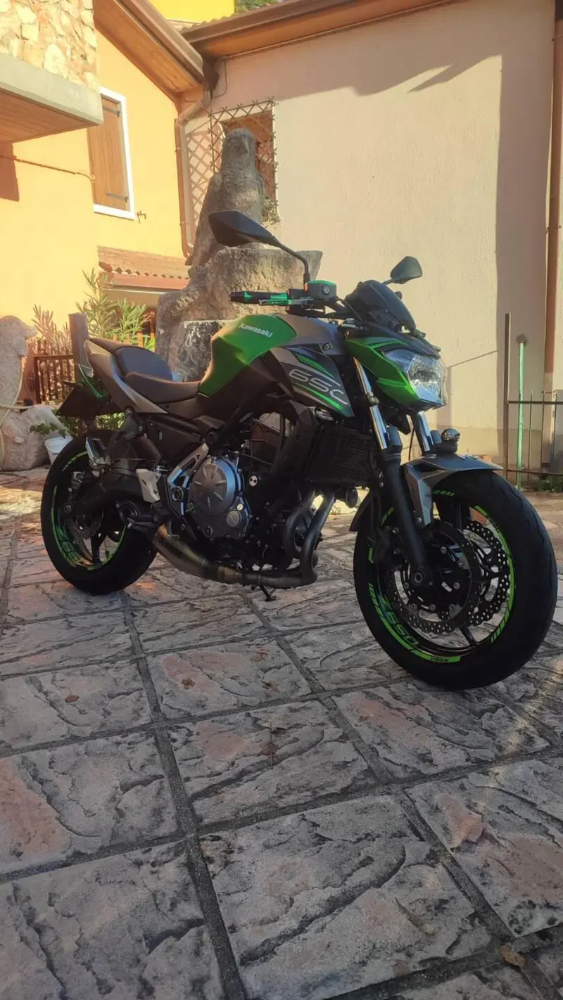 Kawasaki Z 650 (2017 - 19) (2)