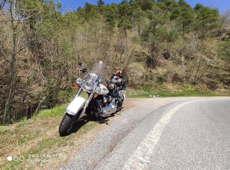 Harley-Davidson 1690 Deluxe ABS (2011 - 16) - FLSTN (2)
